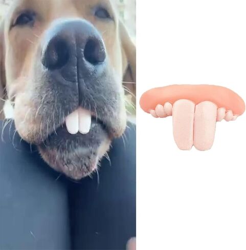 1Pc White Fake Teeth Fake Teeth for Dogs,Dog Toys,Funny Braces, Christmas Costume Suitable Chew Toys Pet Supplies in Saudi Arabia