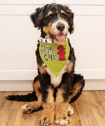 Lazy One Dog Bandana, Reversible Cotton Bandanas for All Dog Sizes (Happy Camper, Large) in Saudi Arabia