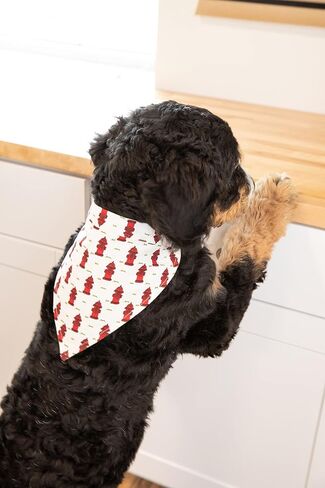 Lazy One Dog Bandana, Reversible Cotton Bandanas for All Dog Sizes (Happy Camper, Large) in Saudi Arabia