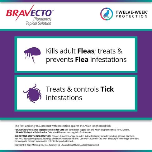 BRAVECTO Topical Solution for Cats, Flea & Tick, 12 Week Supply, >6.2-13.8 lbs., Blue Box in Saudi Arabia