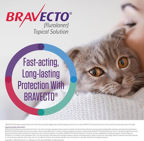 BRAVECTO Topical Solution for Cats, Flea & Tick, 12 Week Supply, >6.2-13.8 lbs., Blue Box in Saudi Arabia