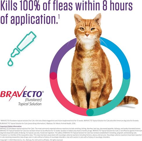 BRAVECTO Topical Solution for Cats, Flea & Tick, 12 Week Supply, >6.2-13.8 lbs., Blue Box in Saudi Arabia