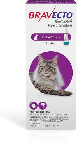 BRAVECTO Topical Solution for Cats, Flea & Tick, 12 Week Supply, >6.2-13.8 lbs., Blue Box in Saudi Arabia