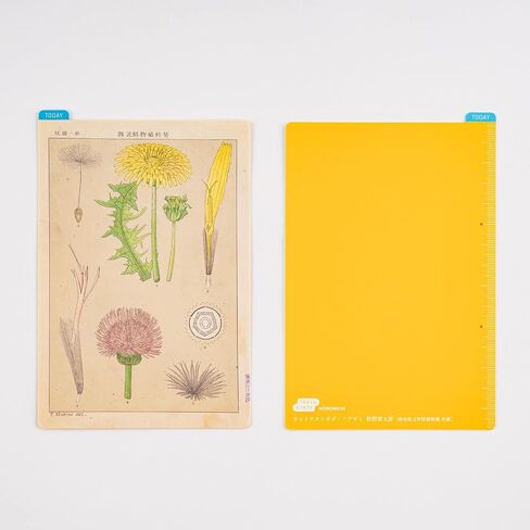 Hobonichi Techo Accessories Tomitaro Makino: Hobonichi Pencil Board for Weeks (Tomitaro Makino) in Saudi Arabia