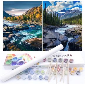 BAISITE Paint by Numbers Kit for Adults Beginners,12" Wx16 L 2 Pack Canvas for Painting Kits for Adults in Colorful Box-BAIPBN605-606