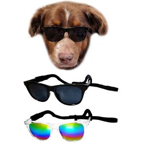 G006 Dog Pet Retro 80s Costume Sunglasses for Medium Breed (Medium, 18-40 lbs, Black) in Saudi Arabia