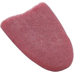 Realistic Fake Tongue Gross Jokes Prank Magic Tricks Halloween Horrific Magicians Props Fashion Processing