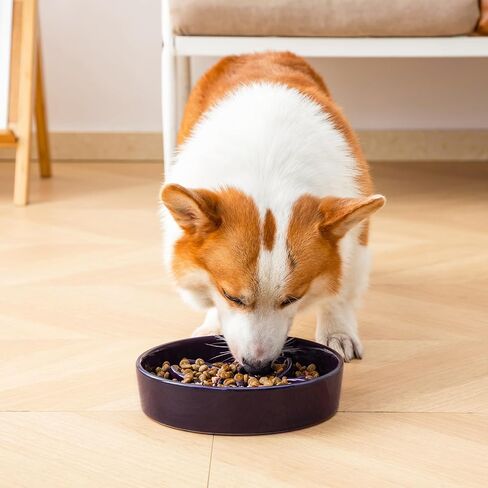 vancasso Ceramic Slow Feeder Dog Bowls, Puzzle Dog Food Bowls with Floral Maze, Anti -Slip Pet Food Dish for Medium Breed, 1.5 Cups, Purple in Kuwait