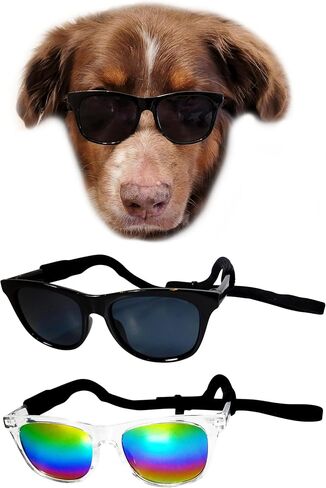 G006 Dog Pet Retro 80s Costume Sunglasses for Medium Breed (Medium, 18-40 lbs, Black) in Saudi Arabia