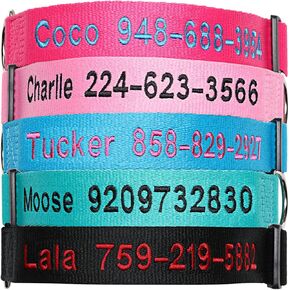 FlowerTown Personalized Dog Collar with Embroidered Name and Phone Number, Custom Dog ID Collars 4 Adjustable Sizes with Safety Release Buckle and D-Ring (Normal), Blue