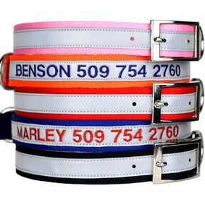 GoTags Custom Embroidered Dog Collar with Metal Buckle, Personalized Dog Collar with Pet Name and Phone Number, 10 Collar Sizes for Puppy and Dogs Extra Small, Small, Medium or Large