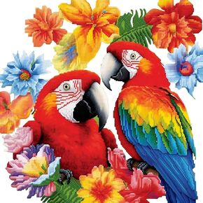 Xinpinzhou Parrots 11ct Cross Stitch Kits, 11 CT Funny Pre Printed Counted Stamped Cross Stitch Embroidery Needlepoint Patterns Kits for Beginners Adults Animal Crossstitch 36x36 cm