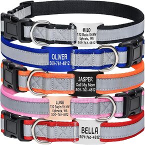 GoTags Reflective Dog Collar with Personalized Nameplate, Adjustable Dog Collar with Custom Engraved Slide On Pet ID Tag in Stainless Steel, Silent, No Noise Dog Tag Small to Large Unique Colors