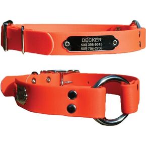 GoTags Sporting Dog Collar with Personalized Nameplate in Stainless Steel, Waterproof Orange Hunting Dog Collar Resistant to Dirt, Oils and Moisture, Odor-Proof (18 Inch)