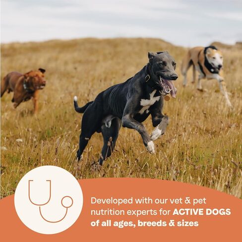 Canidae All Life Stages High Protein Multi-Protein Recipe with Chicken, Turkey, Lamb, and Fish – Premium Dry Dog Food for All Ages, Breeds, and Sizes– 27 lbs. in Kuwait