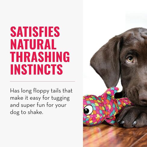 كونج ووبا فينز بلو XL in Kuwait