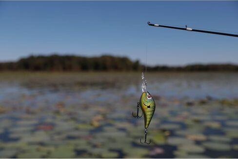 Berkley Digger Fishing Lure, Gilly, 1/2 oz, 2in | 5 cm, Aggressive Wobble and Side Flash, Equipped with Stainless Steel Split Rings and Treble Hooks in Saudi Arabia