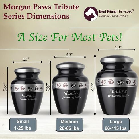 سلسلة Morgan Paws Premier (Small ، Ebony ، Pewter Band) in Kuwait