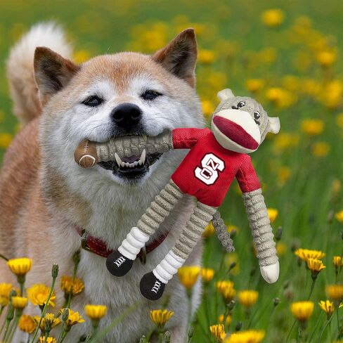 مجموعة ألعاب الحيوانات الأليفة من Littlearth للبالغين من الجنسين NCAA Ohio State Buckeyes Sock Monkey and Flying Disc، لون الفريق، مقاس واحد in Saudi Arabia