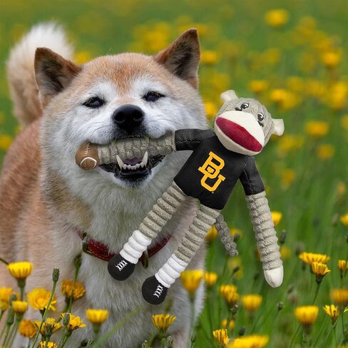 مجموعة ألعاب الحيوانات الأليفة من Littlearth للبالغين من الجنسين NCAA Ohio State Buckeyes Sock Monkey and Flying Disc، لون الفريق، مقاس واحد in Saudi Arabia