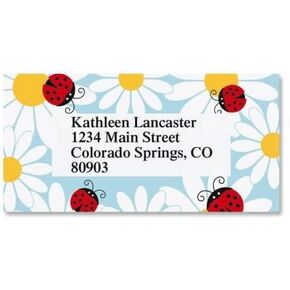 Ladybug Daisy Personalized Border Return Address labels- Set of 144 1-1/8" x 2-1/4" Self-Adhesive, Flat-Sheet labels, By Colorful Images