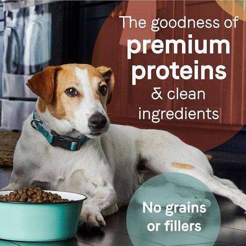 Canidae Pure Healthy Weight Limited Ingredient Premium Adult Dry Dog Food, Real Chicken & Pea Recipe, 22 lbs, Grain Free in Saudi Arabia