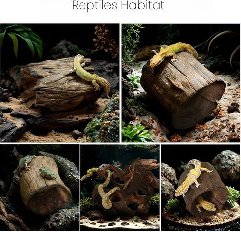 Natural Wood Aquarium Cave Betta Fish Hideout for Aquarium Fish Tank Decorations-Reptile Hide-Snake Hide-Cave for Cichlids Habitat Shelter for Crayfish Shrimp and Other Aquatic Pets 6.1-9.8" in Saudi Arabia