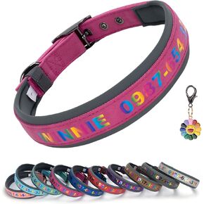 DOG WORLD Personalized Dog Collar with Rainbow Text and Soft Leather Custom Name and Phone Number Durable Metal Buckle Soft Neoprene Padded Adjustable Pet Collar for Large Medium and Small Dogs