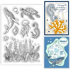 ORIGACH Graduation Season Clear Stamps Reusable Silicone Stamps for Making Cards and DIY Scrapbooking Photo Album Decoration