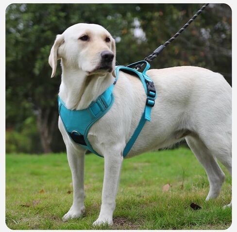 Dog Harness Sized, No Pull Pet Harness with 3 Buckles, Adjustable Soft Padded Pooch Vest with Instant Control Handle, Easy Walking Reflective Pet Vest for Dogs (Black, Medium) in Saudi Arabia