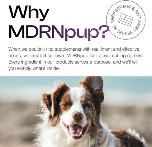 MDRNPUP® يعالج الكلب الفريد من نوعه ، والدرجة البشرية والطبيعة بالكامل ، وأربعة مكونات فقط ، وأحماض أمينية عالية البروتين ، لا شيء مصطنع ، مخبوزة في الولايات المتحدة الأمريكية (13.2 أونصة ، الحمص واليقطين) in Saudi Arabia