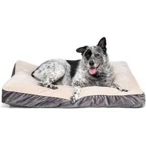 EveryYay Essentials Lounger Dog Bed 40" L X 30" W X 4" H Large Gray