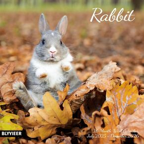 2026 Wall Calendar,Calendar 2025-2026,Rabbit Monthly Wall Calendar, 12" x 24" Open,Family Planner Calendar, Home & Office Organizer,Hangable