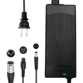 THEPRO 54.6V 2A Charger, Universal Electric ebike Scooter Smart Charger for 48V Li-ion Battery, with DC5.5MM Jack Connector, 3-Prong Inline Connector, 3pin XLR Plug