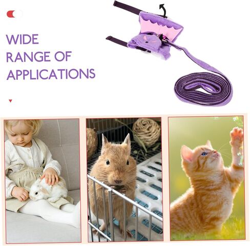 BESPORTBLE 1set Halloween Leash Cat Walking for Outdoor Use Comfortable and Breathable Design for Pets in Saudi Arabia