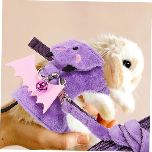 BESPORTBLE 1set Halloween Leash Cat Walking for Outdoor Use Comfortable and Breathable Design for Pets in Saudi Arabia