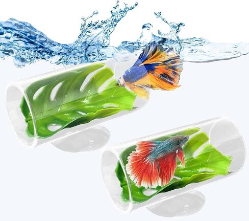 HAMILILYI 2 PACK BETTA TUNNEL TUNNEL ACRYLIL BETTA FSIH TUPE TUNNEL مع أكواب شفط Betta Fish Toys Betta Leaf Pad Decordrate Aport Decor in Kuwait