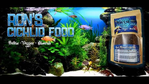 RON'S CICHLIDS African Cichlid Fish Food, Premium Tropical Fish Food Pellets with Protein, Veggies & Fruits for Healthier, Brighter & Bigger Tropical Fish & Cleaner Tanks, Mbuna Blend, 1 LB in Saudi Arabia