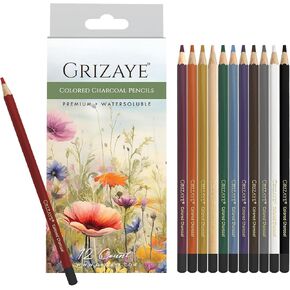 Colored Charcoal Pencils, Set of 12 Premium, Watersoluble for Vivid Colors, Pastel Chalk for Fine Art Drawing, Shading, and Sketching for Artists