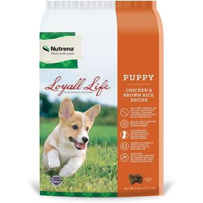 Nutrena Loyall Life Puppy Food Food Rice والأرز البني (6 أرطال) ، عدد واحد (حزمة 1)