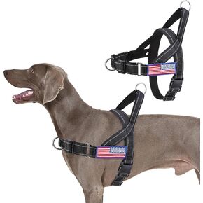 BINGPET No Pull Dog Harness with Two Patches and Soft Handle,Reflective Adjustable Easy Walk Dog Harness for Small Medium Large Dogs,Quick Fit & Escape Proof for Outdoor Walking Training(Black,L)