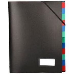 Leading Folder PP DIN A4 Black -12 compartments