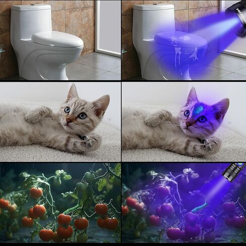 DARKBEAM UV Flashlight 365nm Rechargeable - High Power Ultraviolet LED Black Light Flash Light Mini Torch, Pet Urine Detector - Portable Woods Lamp for Resin Curing, Stain, Stones, Scorpions in Kuwait