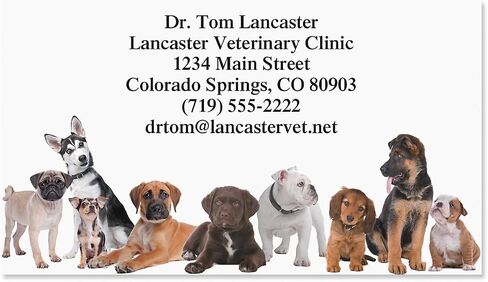 Bow Wow Animals Custom Printed Business Cards - Set of 250-2 x 3-½ inches, Veterinarian, Pet, Vet, Dog, Personalized Clinic Cards by Colorful Images in Kuwait