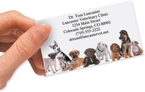 Bow Wow Animals Custom Printed Business Cards - Set of 250-2 x 3-½ inches, Veterinarian, Pet, Vet, Dog, Personalized Clinic Cards by Colorful Images in Kuwait