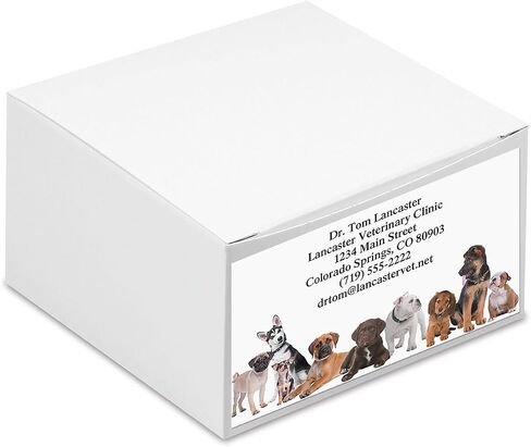 Bow Wow Animals Custom Printed Business Cards - Set of 250-2 x 3-½ inches, Veterinarian, Pet, Vet, Dog, Personalized Clinic Cards by Colorful Images in Kuwait