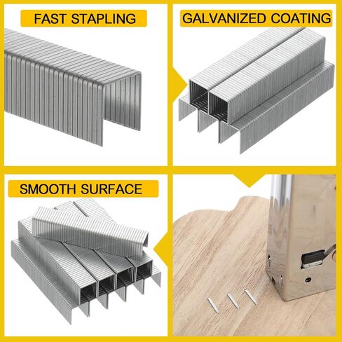 Faccito 10000 Pcs 1/2-inch Stainless Steel Staples Galvanized Steel Staples for Staple Gun, Stapler, Upholstery, Construction, Furniture, Crafts in Saudi Arabia