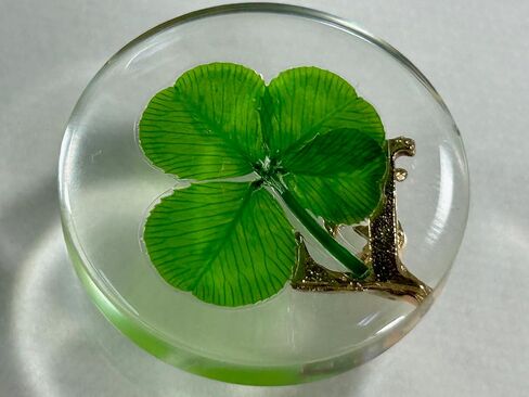 KIN-HEBI Real Four Leaf Clover Good Luck Pocket Token, Preserved, 1.25", Including Metal Ornament (Initial E) in Kuwait
