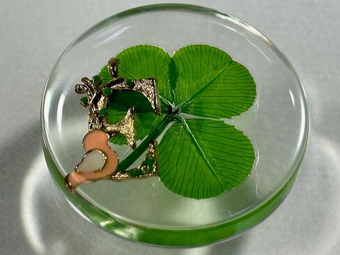 KIN-HEBI Real Four Leaf Clover Good Luck Pocket Token, Preserved, 1.25", Including Metal Ornament (Initial E) in Kuwait