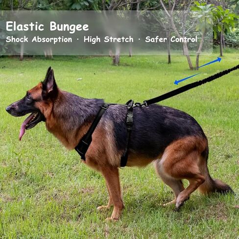 Bungee Dog Leash with Shock Absorption, Dual Handles for Pull Control, Reflective Nylon, Zinc Alloy Hook, D-Ring for Poop Bags, Black, L in Saudi Arabia